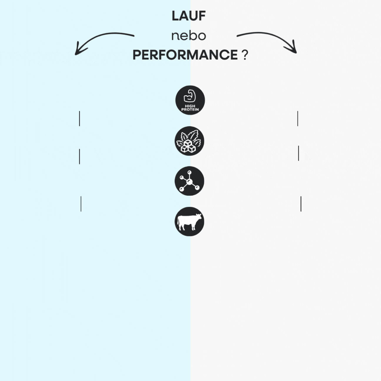 LAUF x Performance oprava